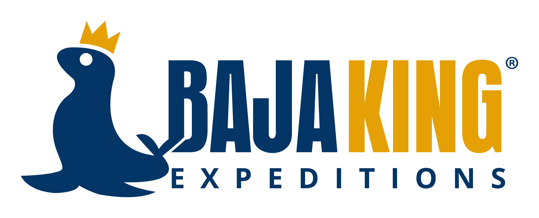 Baja King Expeditions logo